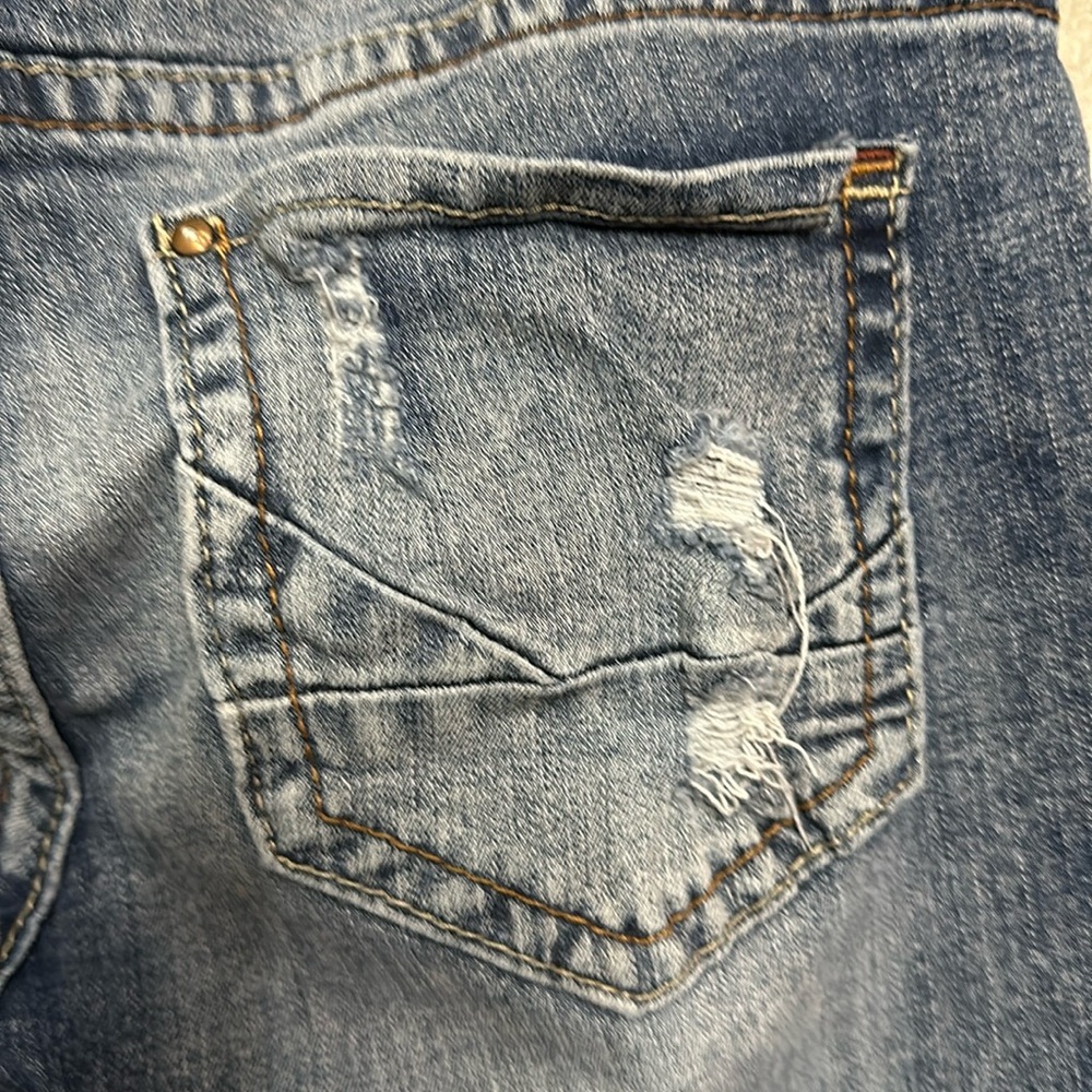 Daytrip Capricorn Skinny Jean